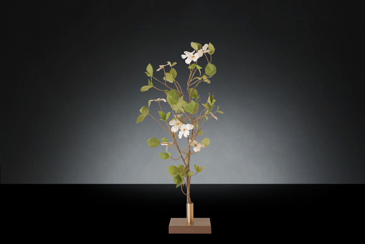 1700220484-1142925.37 SINGLE APPLE TREE_2LOW